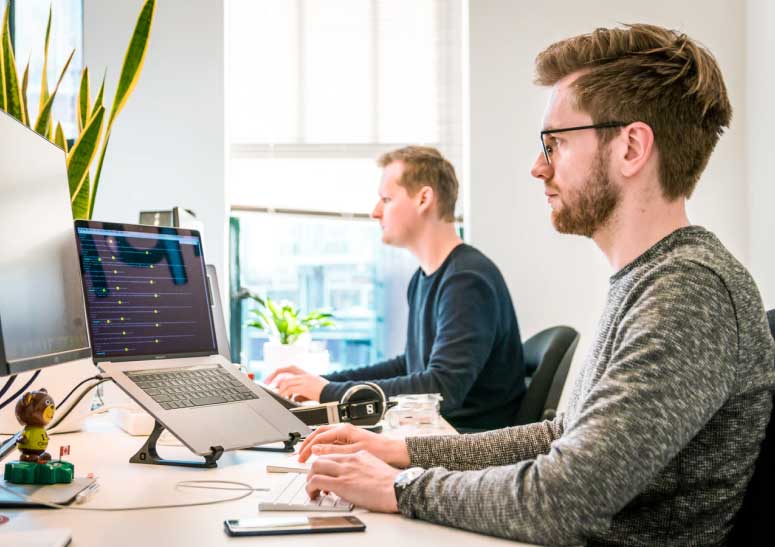Two men working at computers in a modern office with natural light and green plants.